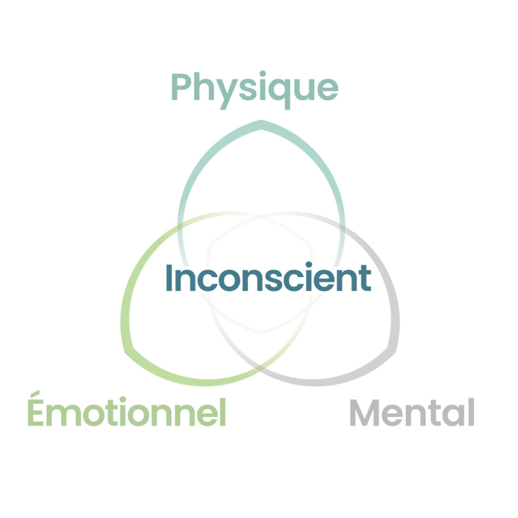 Schéma des 4 dimensions de la kinésiologie : Corps, Mental, Émotions et Inconscient